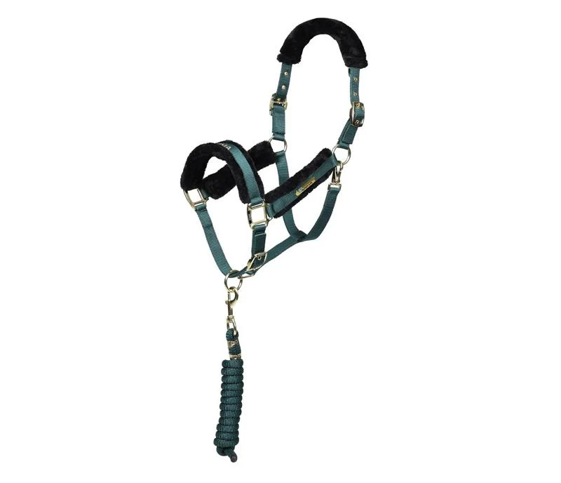 ARMA Logo Headcollar & Leadrope - Image 4