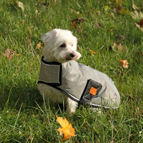 Benji & Flo Silva Dog Coat Black/Sliver
