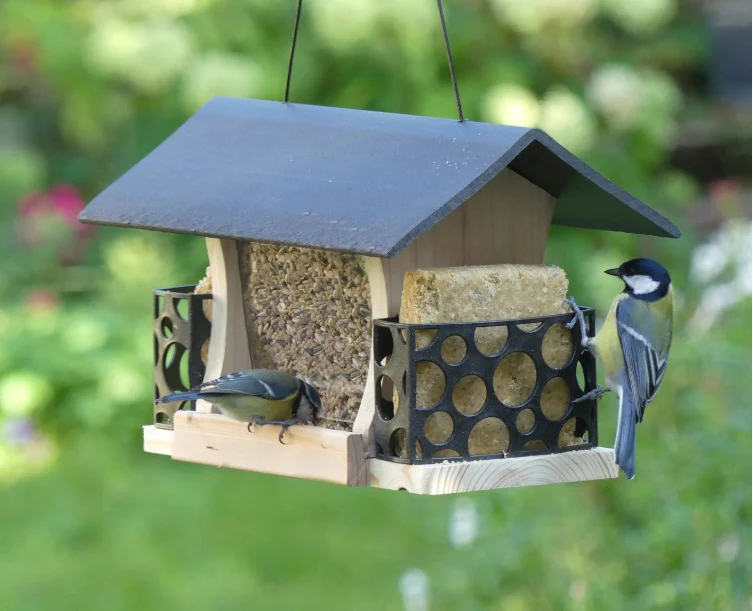 Peckish Woodland Feast Multifeeder - Image 2