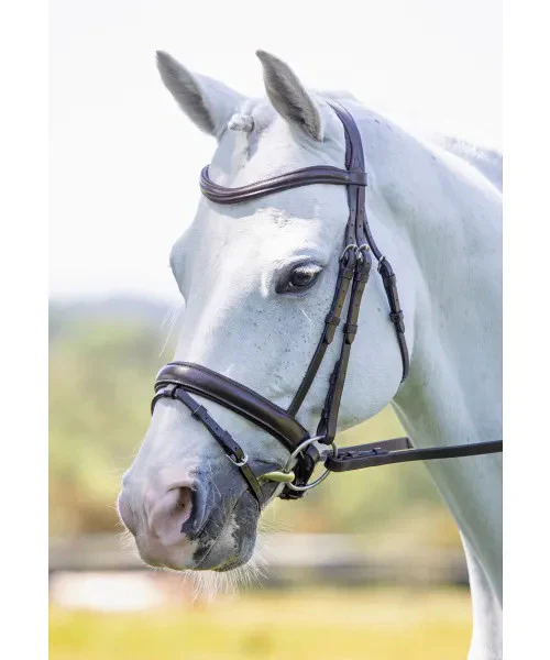 Rapida Flash Bridle HAVANA - Image 2