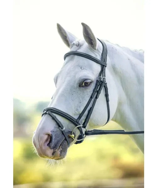 RAPIDA  Raised Flash Bridle Black - Image 2