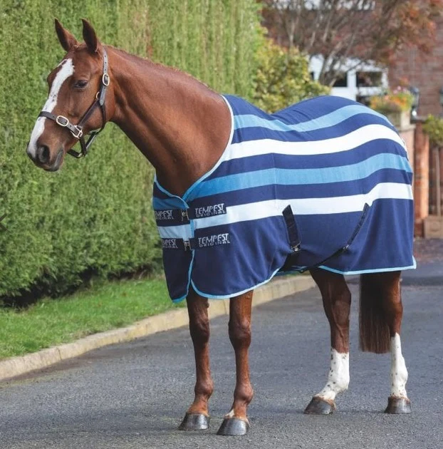 Tempest Newmarket Blue - Image 4