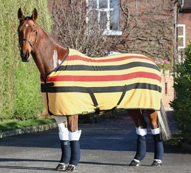 Tempest Newmarket Newmarket - Image 4