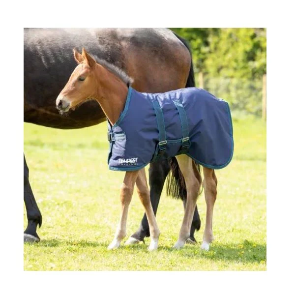 Tempest Original Foal Turnout Navy/Turquoise - Image 3