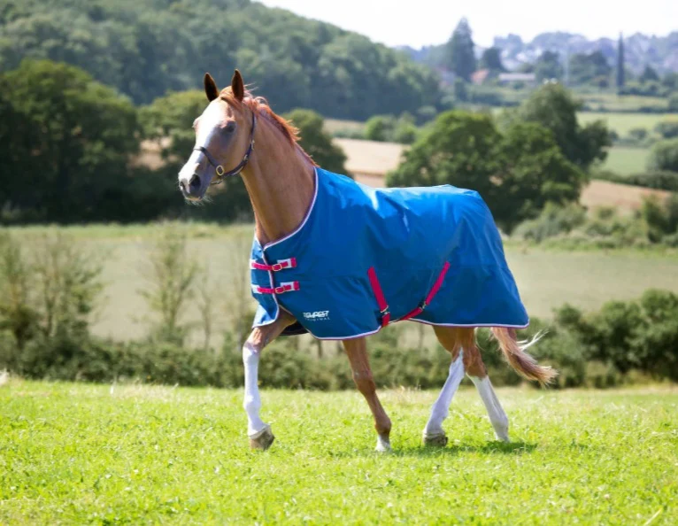 Shires Tempest Original Lite Turnout Rug Teal