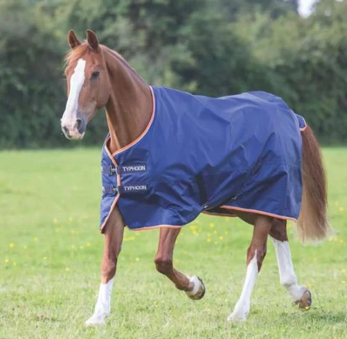 Typhoon 100 Turnout Rug Navy - Image 4