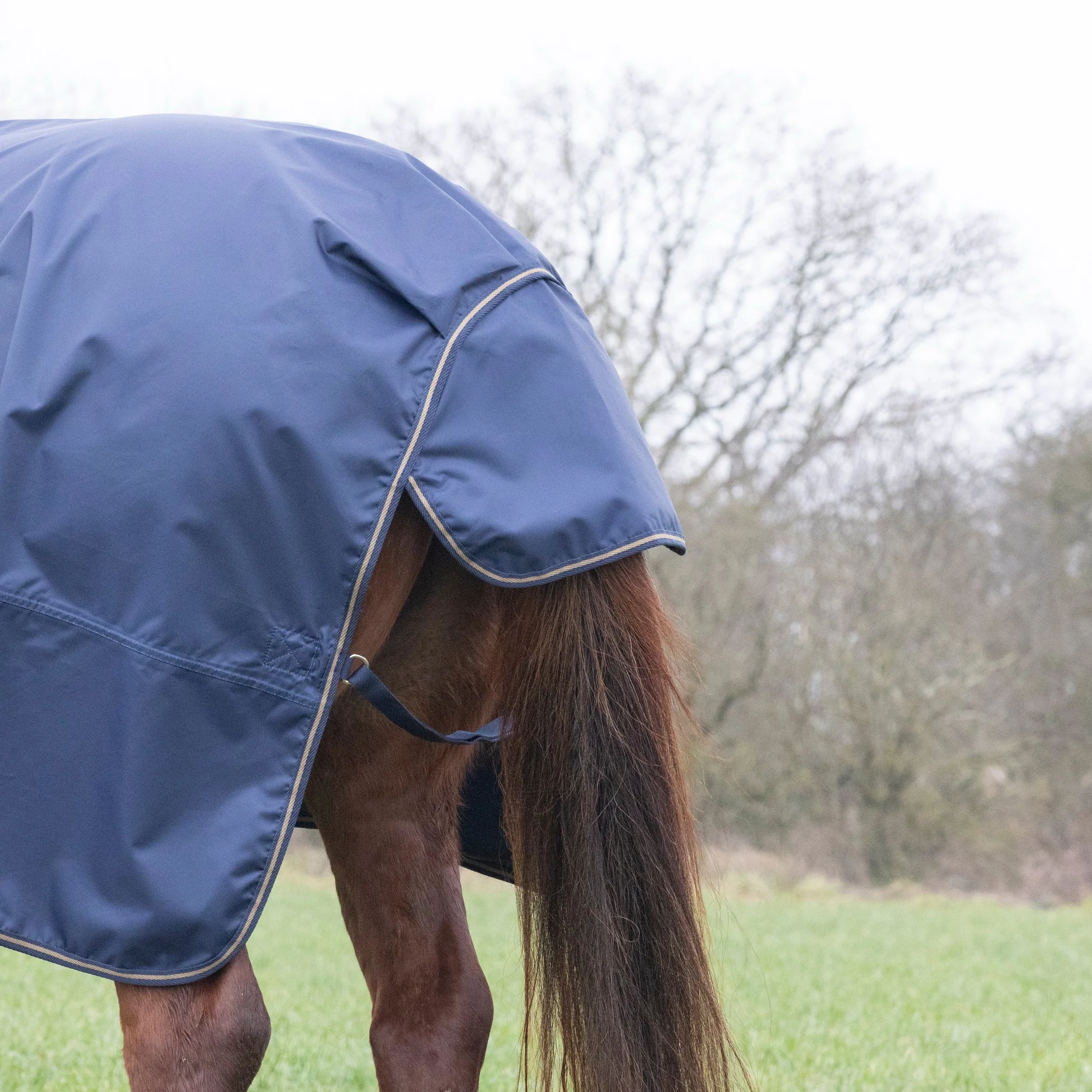 Shires Typhoon Lite Turnout Rug Navy - Image 3